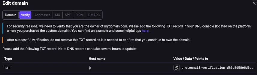 Domain workflow step 2, showing the verification TXT DNS record value