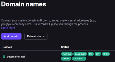 Proton Domain status showing fully setup and working with Catch-All enabled